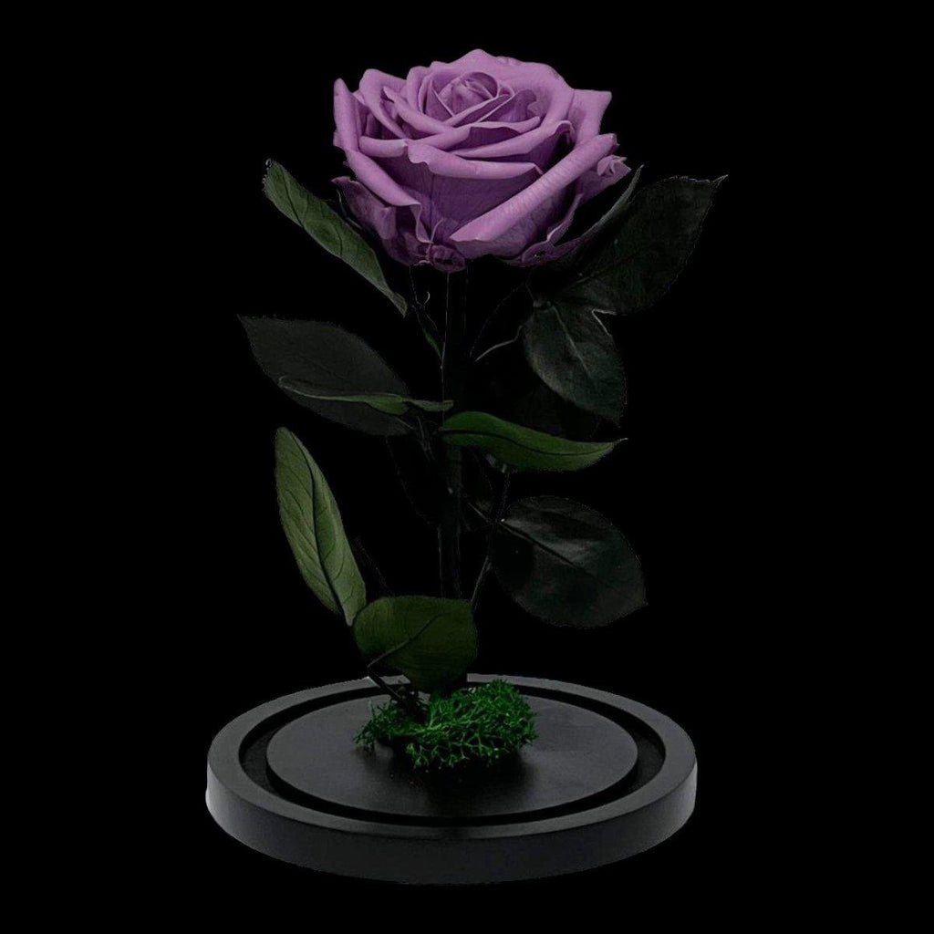 Trandafir Criogenat Etern Lila în Cupolă de Sticlă Elegantă 8 cm Cadou Perfect - Trandafir - Criogenat.ro