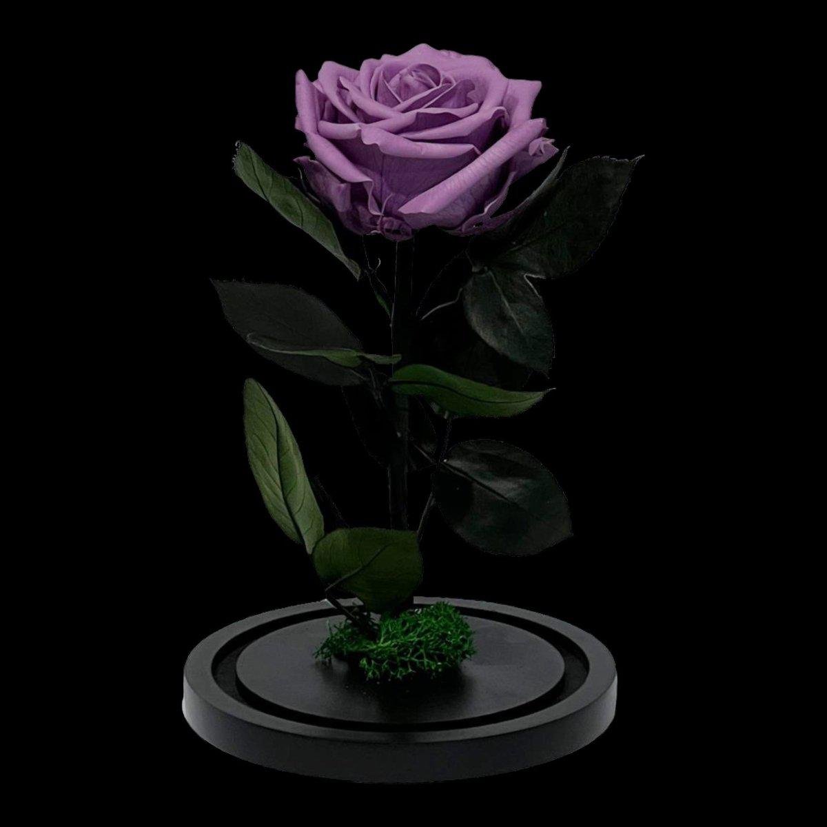 Trandafir Criogenat Etern Lila în Cupolă de Sticlă Elegantă 8 cm Cadou Perfect - Trandafir - Criogenat.ro