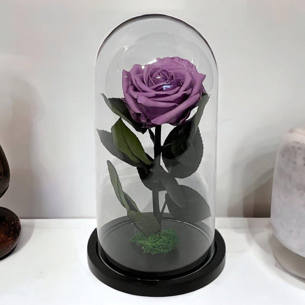 Trandafir Criogenat Etern Lila în Cupolă de Sticlă Elegantă 8 cm Cadou Perfect - Trandafir - Criogenat.ro