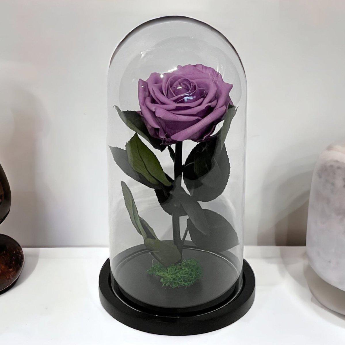 Trandafir Criogenat Etern Lila în Cupolă de Sticlă Elegantă 8 cm Cadou Perfect - Trandafir - Criogenat.ro