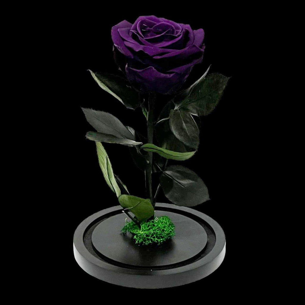 Trandafir Criogenat Etern Mov În Cupolă De Sticlă 8 Cm Diametru 12x25 Cm - Trandafir - Criogenat.ro