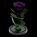 Trandafir Criogenat Etern Mov În Cupolă De Sticlă 8 Cm Diametru 12x25 Cm - Trandafir - Criogenat.ro