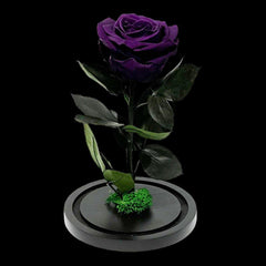 Trandafir Criogenat Etern Mov În Cupolă De Sticlă 8 Cm Diametru 12x25 Cm - Trandafir - Criogenat.ro