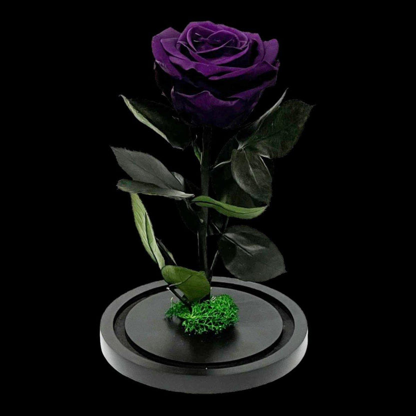 Trandafir Criogenat Etern Mov În Cupolă De Sticlă 8 Cm Diametru 12x25 Cm - Trandafir - Criogenat.ro