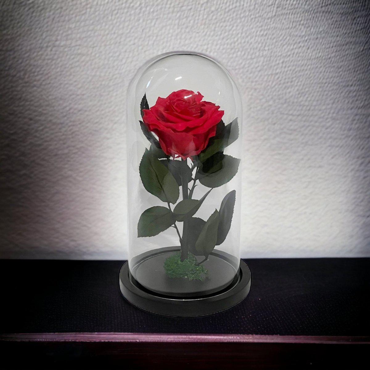 Trandafir Criogenat Etern Premium Roz Inchis In Cupola De Sticla Diametru 8 Cm - Trandafir - Criogenat.ro