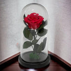 Trandafir Criogenat Etern Premium Roz Inchis In Cupola De Sticla Diametru 8 Cm - Trandafir - Criogenat.ro