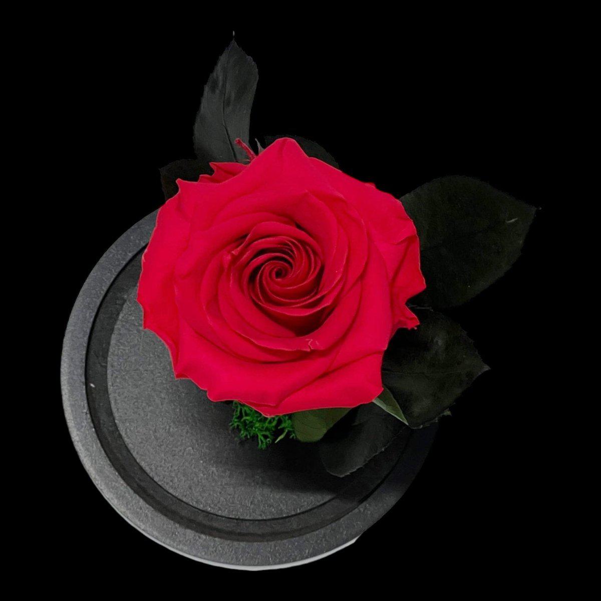 Trandafir Criogenat Etern Premium Roz Inchis In Cupola De Sticla Diametru 8 Cm - Trandafir - Criogenat.ro