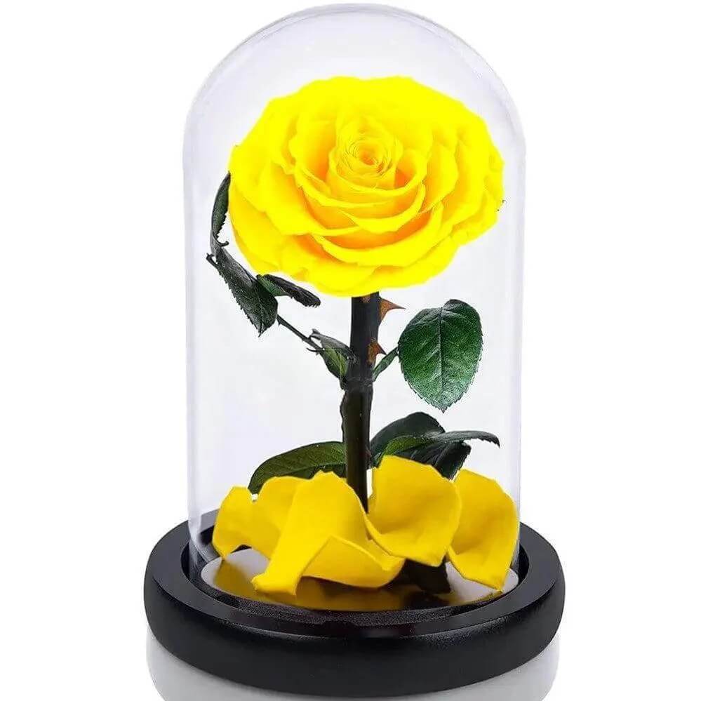 Trandafir Criogenat Galben Bella Diametru 8 Cm În Cupolă Eleganță 10x20 Cm - Trandafir - Criogenat.ro