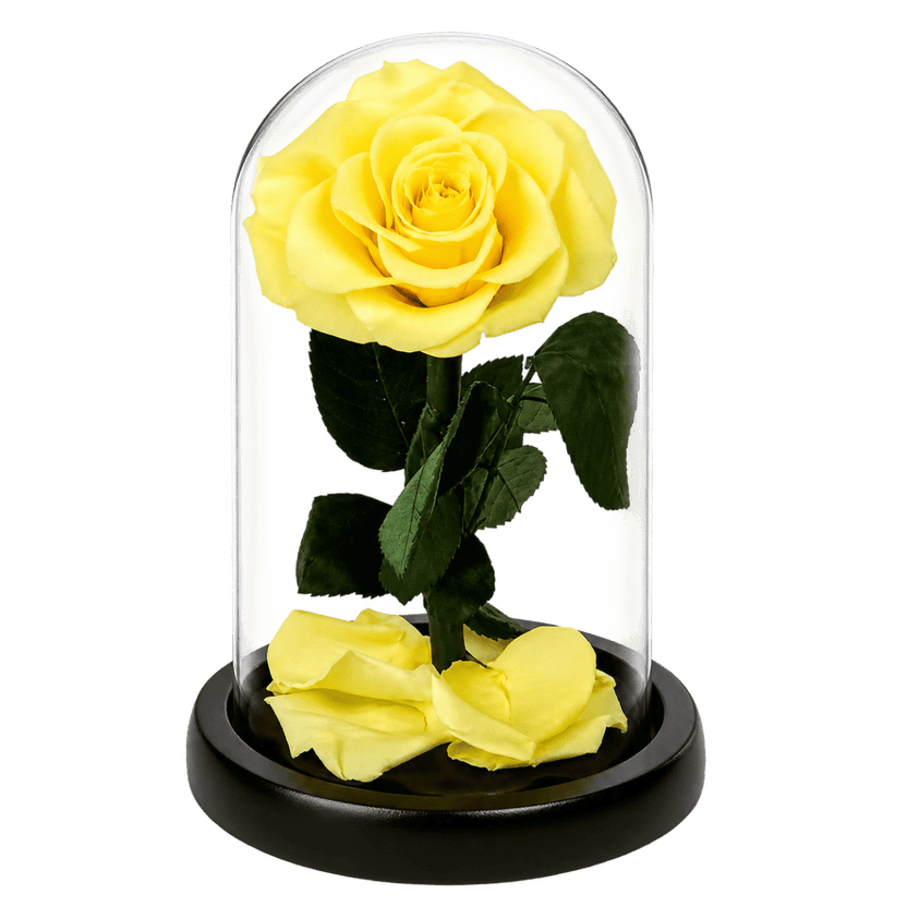 Trandafir criogenat galben Bonita în cupolă de sticlă 15 × 25 cm, cu mesaj - Trandafir-Criogenat.ro
