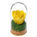 Trandafir criogenat galben în mini cupolă de sticlă 5 × 9,5 cm - Trandafir-Criogenat.ro