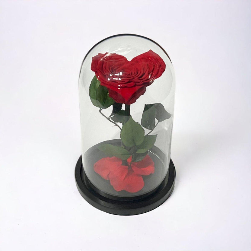 Trandafir Criogenat Inima Rosie Cu Cupolă De Sticlă 15x25cm Cadou Etern Iubire - Trandafir - Criogenat.ro