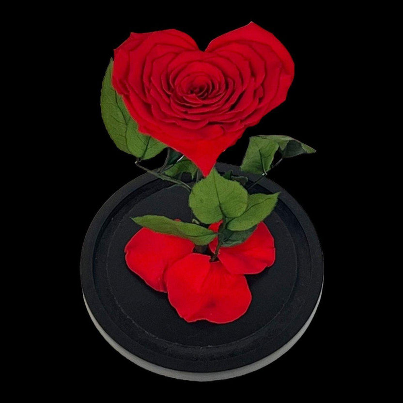 Trandafir Criogenat Inima Rosie Cu Cupolă De Sticlă 15x25cm Cadou Etern Iubire - Trandafir - Criogenat.ro