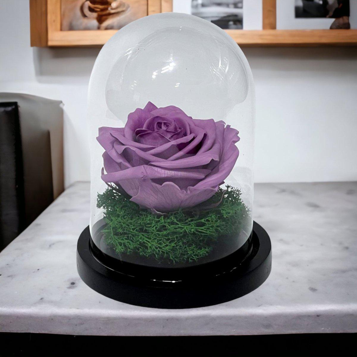 Trandafir Criogenat Lila de Lux în Cupolă de Sticlă 8cm Personalizat Cu Mesaj - Trandafir - Criogenat.ro