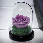 Trandafir Criogenat Lila de Lux în Cupolă de Sticlă 8cm Personalizat Cu Mesaj - Trandafir - Criogenat.ro