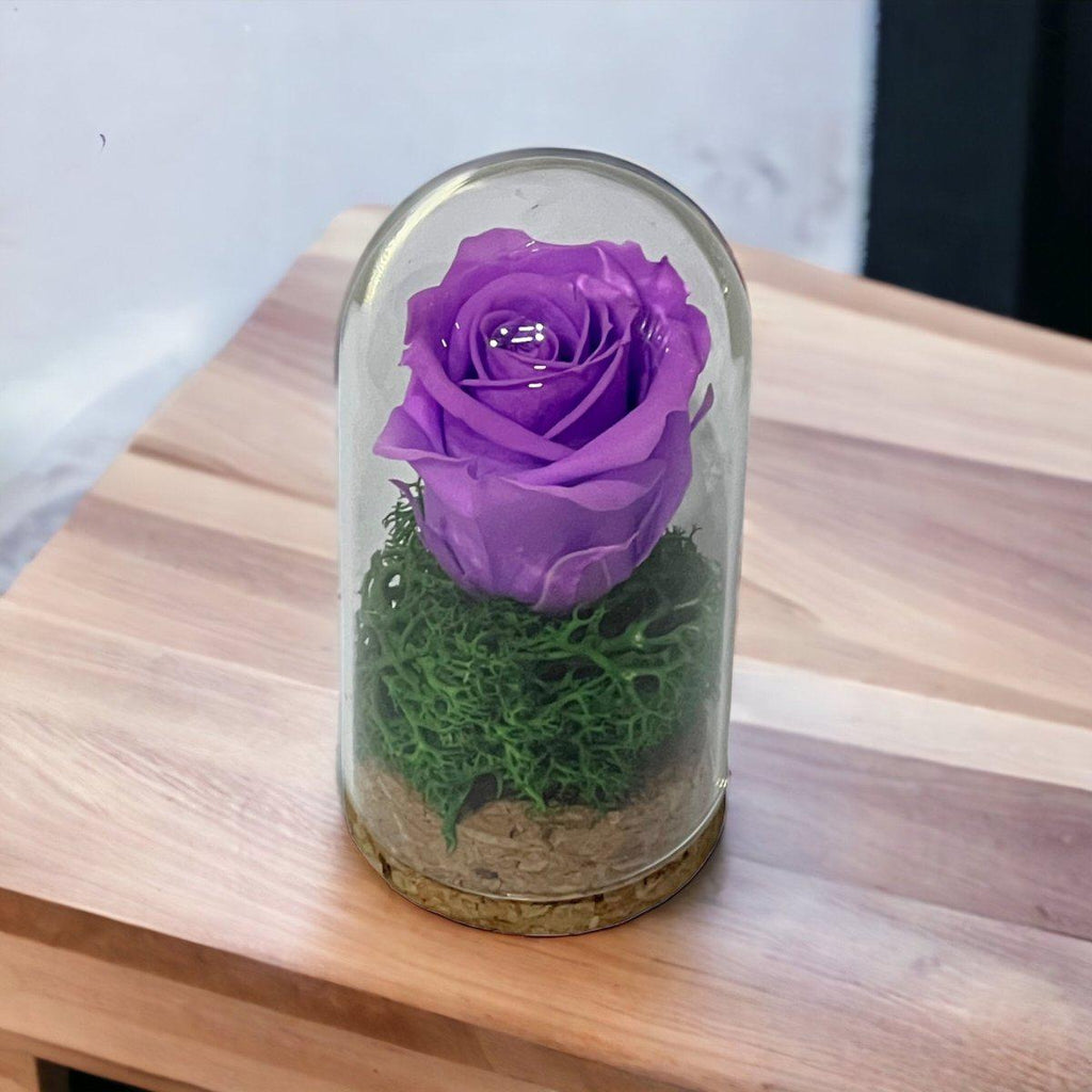 Trandafir Criogenat Lila În Cupolă Elegantă 5x9,5cm Marturie De Lux Cadou - Trandafir - Criogenat.ro