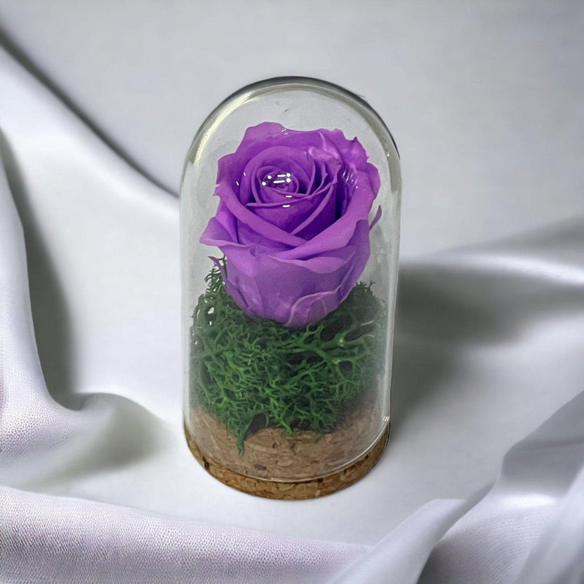 Trandafir Criogenat Lila În Cupolă Elegantă 5x9,5cm Marturie De Lux Cadou - Trandafir - Criogenat.ro