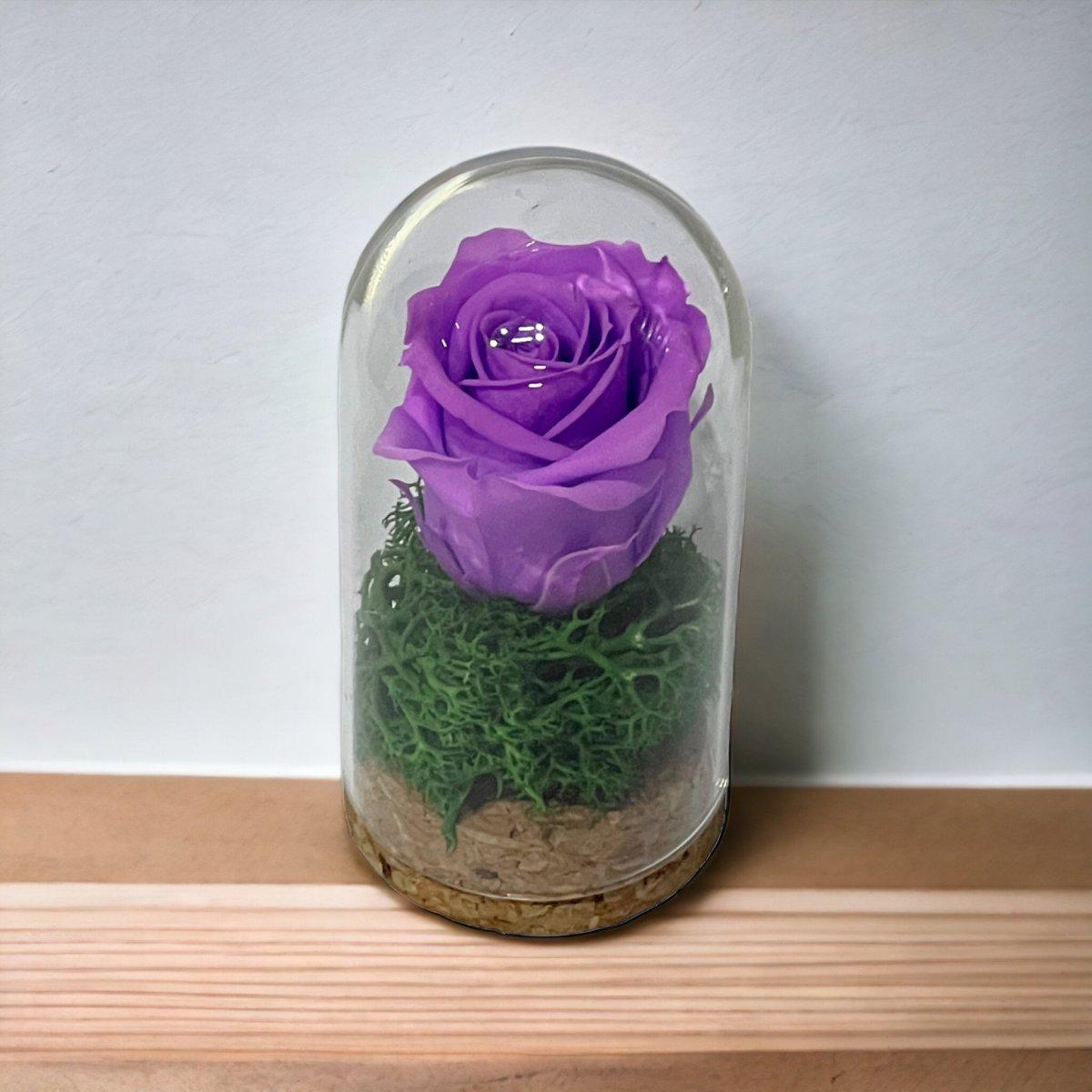 Trandafir Criogenat Lila În Cupolă Elegantă 5x9,5cm Marturie De Lux Cadou - Trandafir - Criogenat.ro