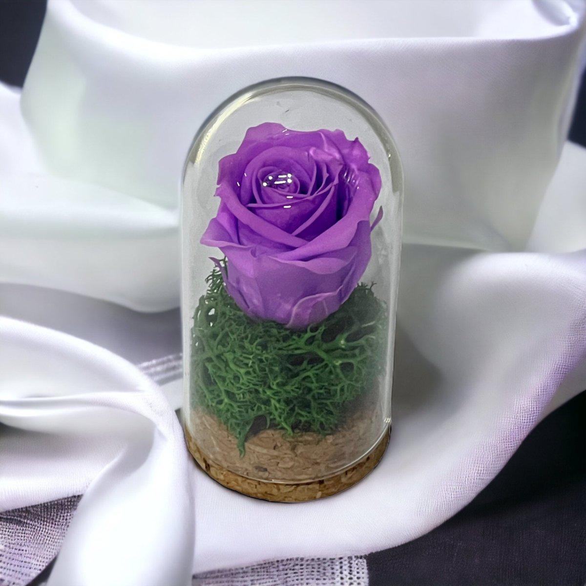 Trandafir Criogenat Lila În Cupolă Elegantă 5x9,5cm Marturie De Lux Cadou - Trandafir - Criogenat.ro