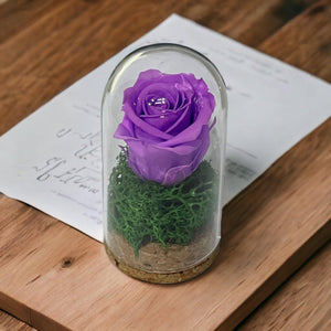 Trandafir Criogenat Lila În Cupolă Elegantă 5x9,5cm Marturie De Lux Cadou - Trandafir - Criogenat.ro