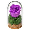 Trandafir criogenat lila în mini cupolă de sticlă 5 × 9,5 cm - Trandafir-Criogenat.ro