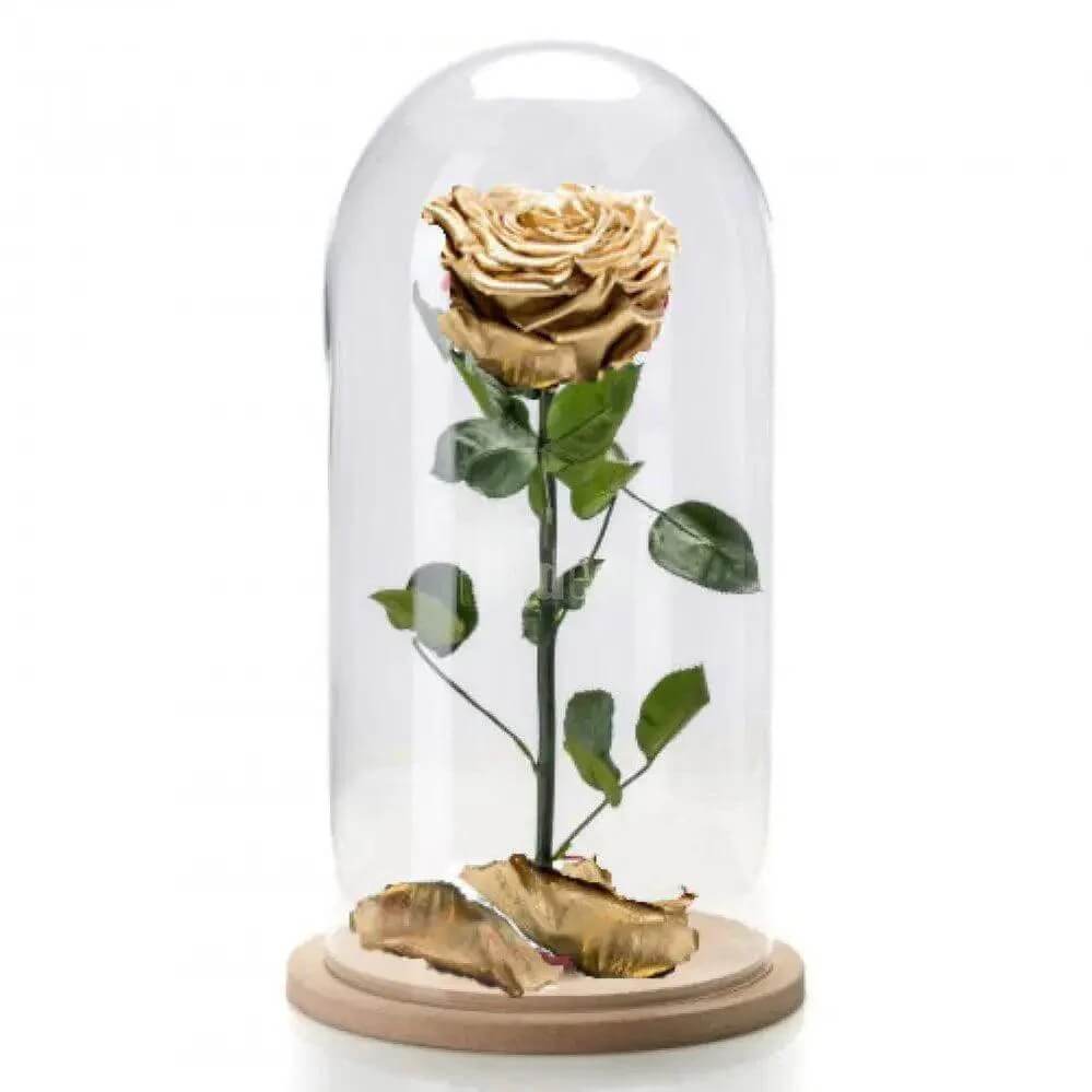 Trandafir Criogenat Lux Auriu XL În Cupolă Elegantă 10x20cm Cadou Perfect - Trandafir - Criogenat.ro