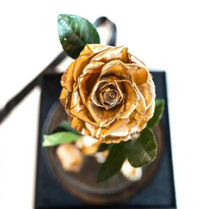 Trandafir Criogenat Lux Auriu XL În Cupolă Elegantă 10x20cm Cadou Perfect - Trandafir - Criogenat.ro