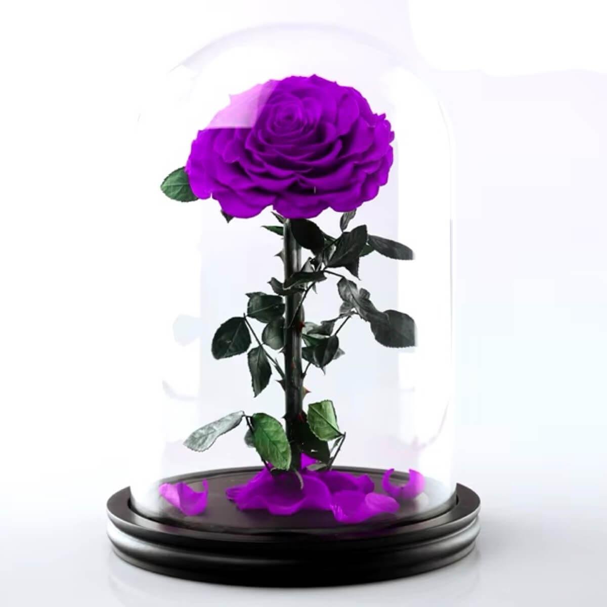 Trandafir Criogenat Mov Bonita In Cupolă De Sticlă 9,5cm Cadou Unic Pentru Ea Deosebit - Trandafir - Criogenat.ro