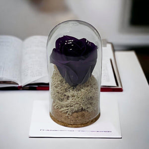 Trandafir Criogenat Mov În Cupolă De Sticlă 5x9,5 Cm Cadou Elegant Evenimente - Trandafir - Criogenat.ro