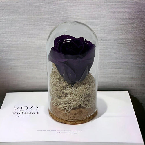 Trandafir Criogenat Mov În Cupolă De Sticlă 5x9,5 Cm Cadou Elegant Evenimente - Trandafir - Criogenat.ro