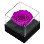 Trandafir criogenat mov în cutie cadou 10 × 10 × 11 cm - Trandafir-Criogenat.ro