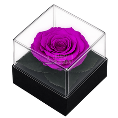 Trandafir criogenat mov în cutie cadou 10 × 10 × 11 cm - Trandafir-Criogenat.ro