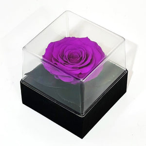 Trandafir Criogenat mov Ø7 - 8cm in cutie cadou 10x10x11cm - Trandafir - Criogenat.ro