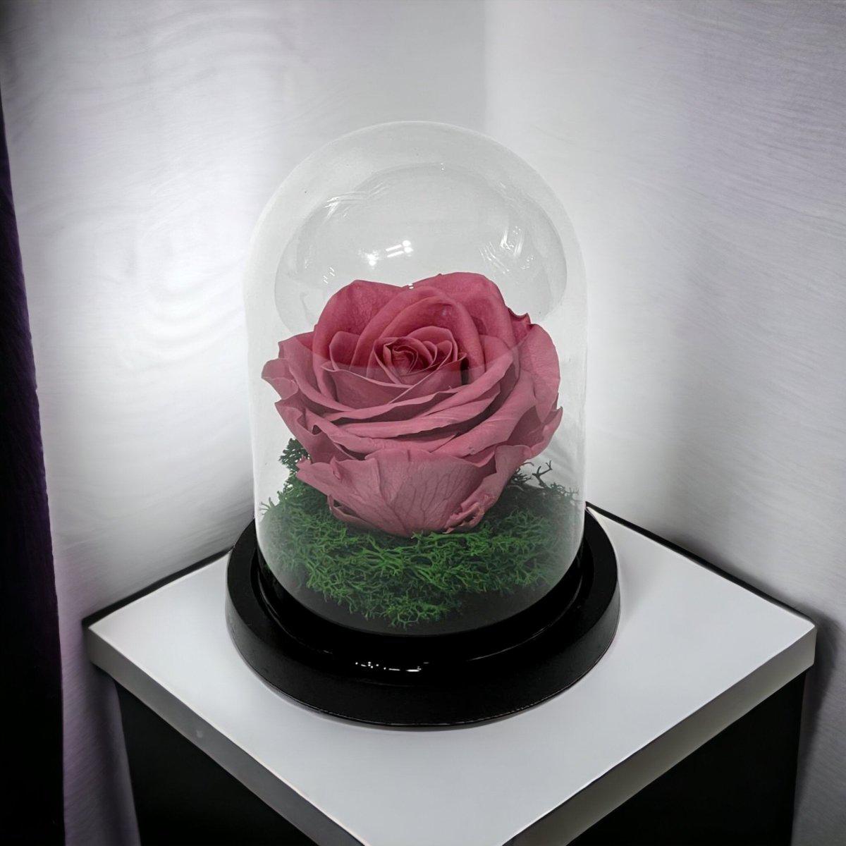 Trandafir Criogenat Mov Pudrat Cu Cupolă De Sticlă Pentru Cadou Nemuritor 25 Ani - Trandafir - Criogenat.ro