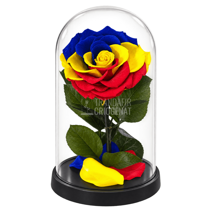 Trandafir criogenat multicolor în cupolă de sticlă, cu mesaj - Trandafir-Criogenat.ro