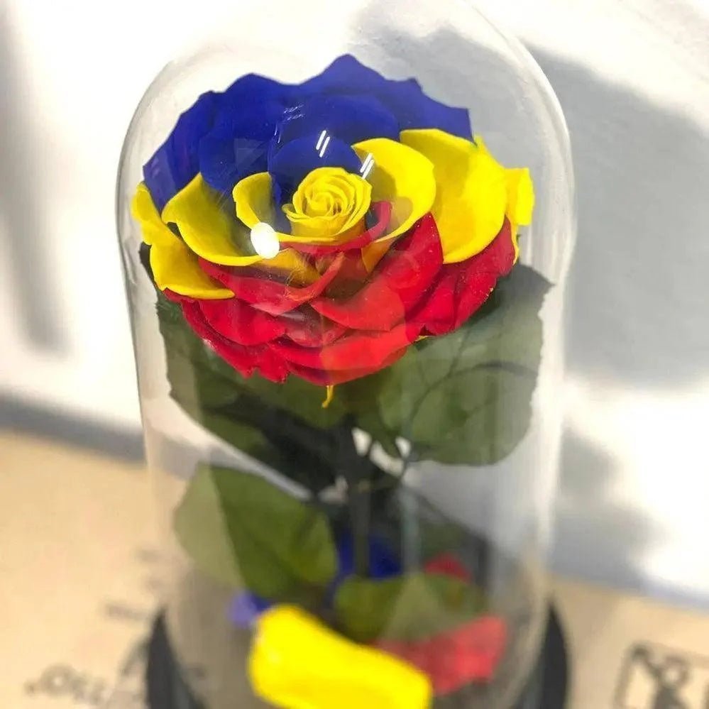 Trandafir Criogenat Multicolor În Cupolă De Sticlă Diametru 9,5 Cm Cadou Elegant - Trandafir - Criogenat.ro