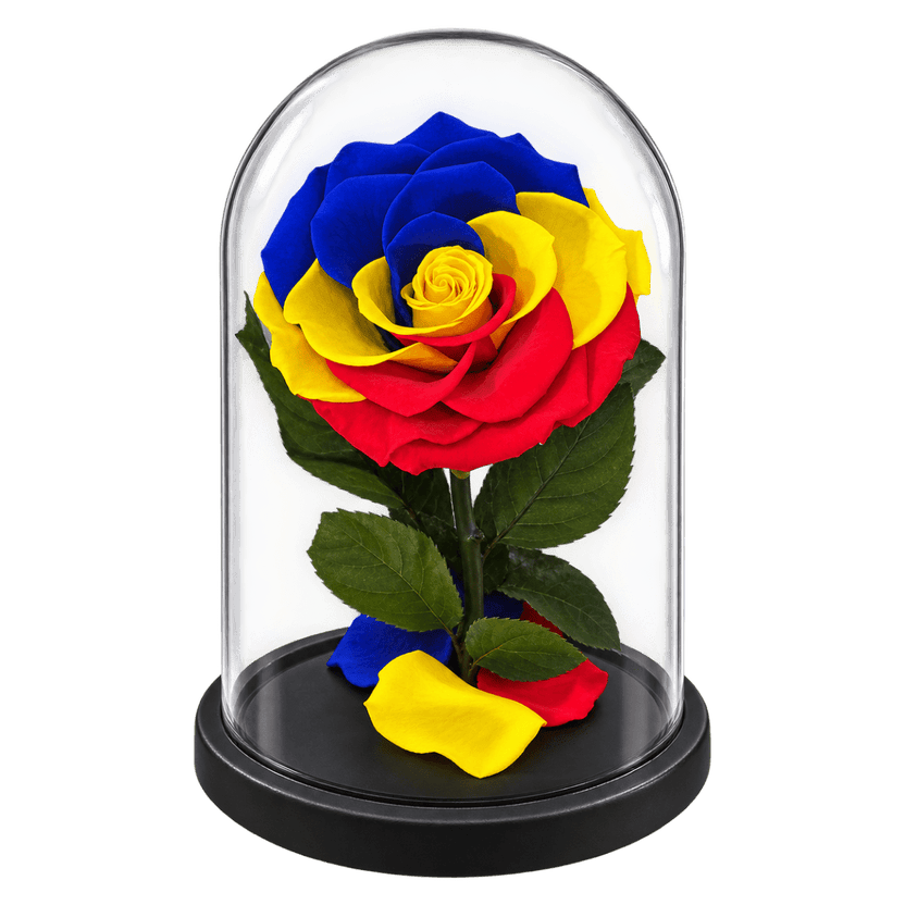 Trandafir criogenat multicolor Ø9,5 cm în cupolă de sticlă 12 × 25 cm, cu mesaj - Trandafir-Criogenat.ro