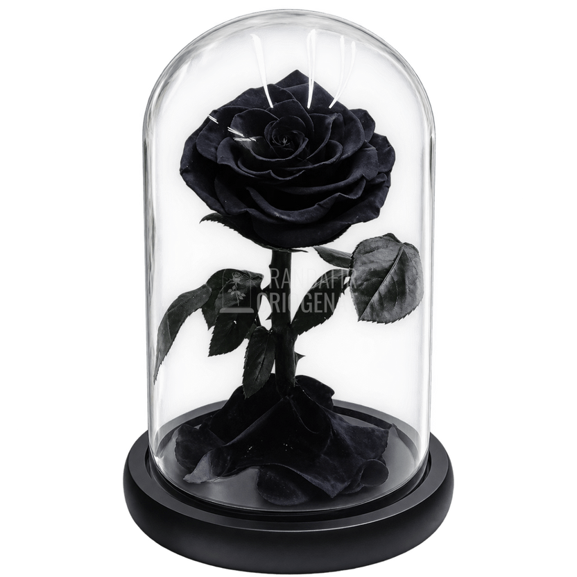 Trandafir criogenat negru Bonita în cupolă de sticlă 15 × 25 cm, cu mesaj - Trandafir-Criogenat.ro