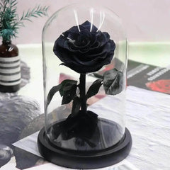 Trandafir Criogenat Negru Bonita în Cupolă Elegantă de Sticlă 9,5 cm Cadou - Trandafir - Criogenat.ro