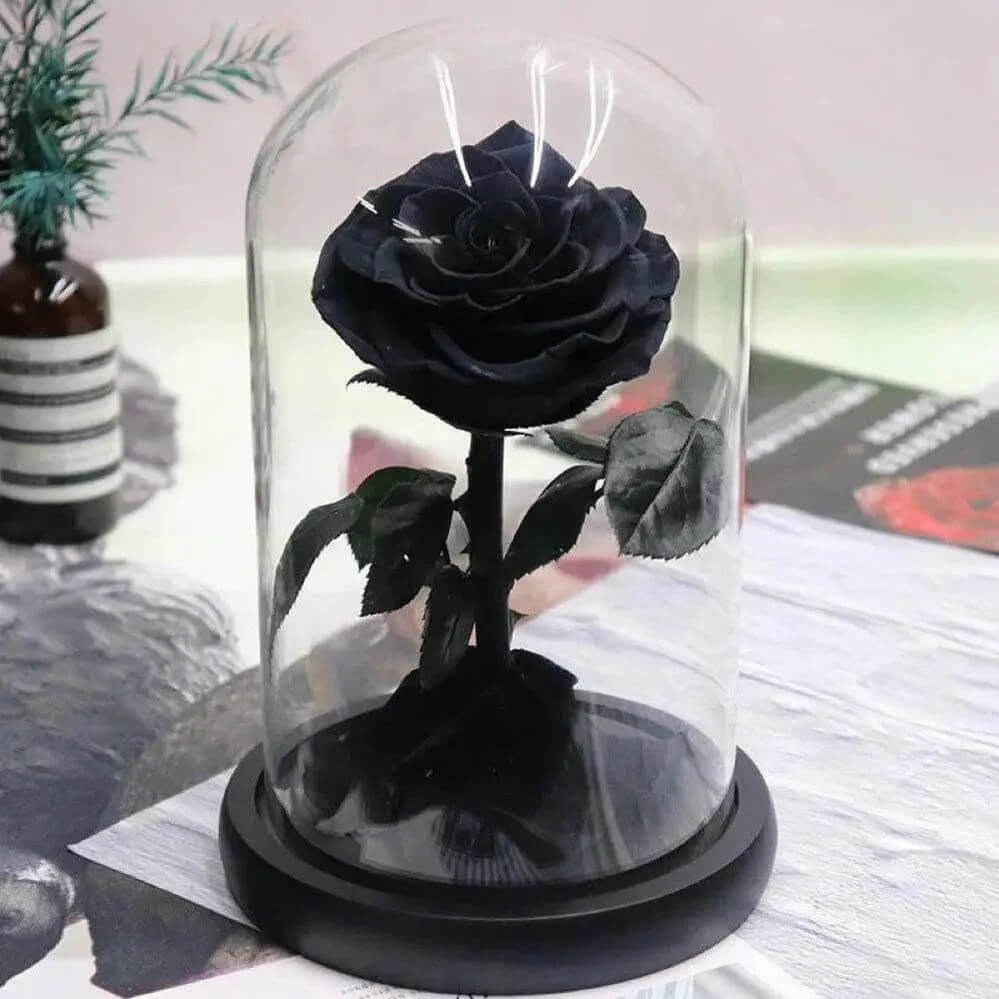 Trandafir Criogenat Negru Bonita în Cupolă Elegantă de Sticlă 9,5 cm Cadou - Trandafir - Criogenat.ro