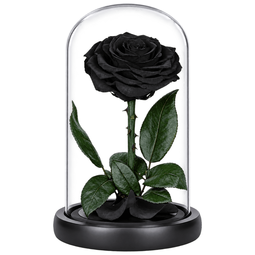 Trandafir criogenat negru în cupolă de sticlă 15 × 25 cm, cu mesaj - Trandafir-Criogenat.ro