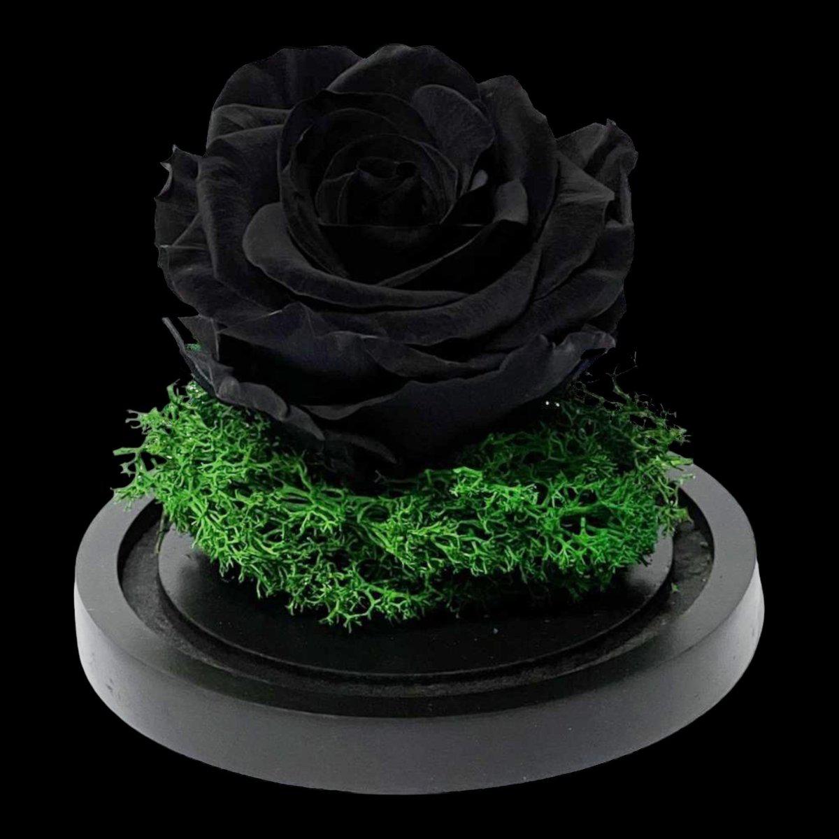 Trandafir Criogenat Negru In Cupola De Sticla 8 Cm Cadou Elegant Pentru Ea - Trandafir - Criogenat.ro