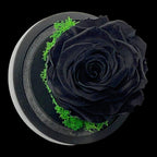 Trandafir Criogenat Negru In Cupola De Sticla 8 Cm Cadou Elegant Pentru Ea - Trandafir - Criogenat.ro