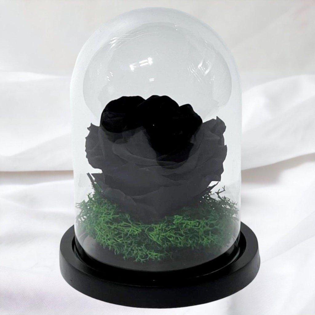 Trandafir Criogenat Negru In Cupola De Sticla 8 Cm Cadou Elegant Pentru Ea - Trandafir - Criogenat.ro