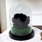 Trandafir Criogenat Negru In Cupola De Sticla 8 Cm Cadou Elegant Pentru Ea - Trandafir - Criogenat.ro