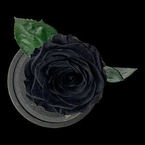 Trandafir Criogenat Negru Lux In Cupola De Sticla Cadou Cu Mesaj Personalizat - Trandafir - Criogenat.ro