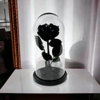 Trandafir Criogenat Negru Lux In Cupola De Sticla Cadou Cu Mesaj Personalizat - Trandafir - Criogenat.ro