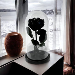 Trandafir Criogenat Negru Lux In Cupola De Sticla Cadou Cu Mesaj Personalizat - Trandafir - Criogenat.ro
