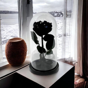 Trandafir Criogenat Negru Lux In Cupola De Sticla Cadou Cu Mesaj Personalizat - Trandafir - Criogenat.ro