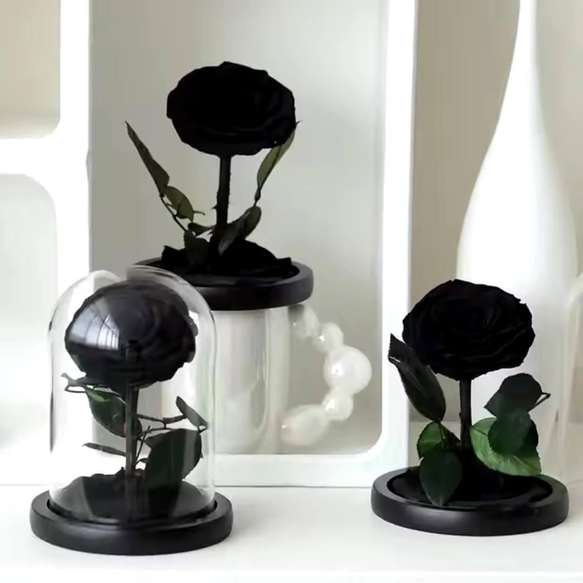 Trandafir Criogenat Negru Lux în Cupolă de Sticlă cu Mesaj Personalizat Cadou - Trandafir - Criogenat.ro