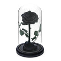 Trandafir Criogenat Negru Premium În Cupolă De Sticlă 8 Cm Cadou Unic Elegant - Trandafir - Criogenat.ro